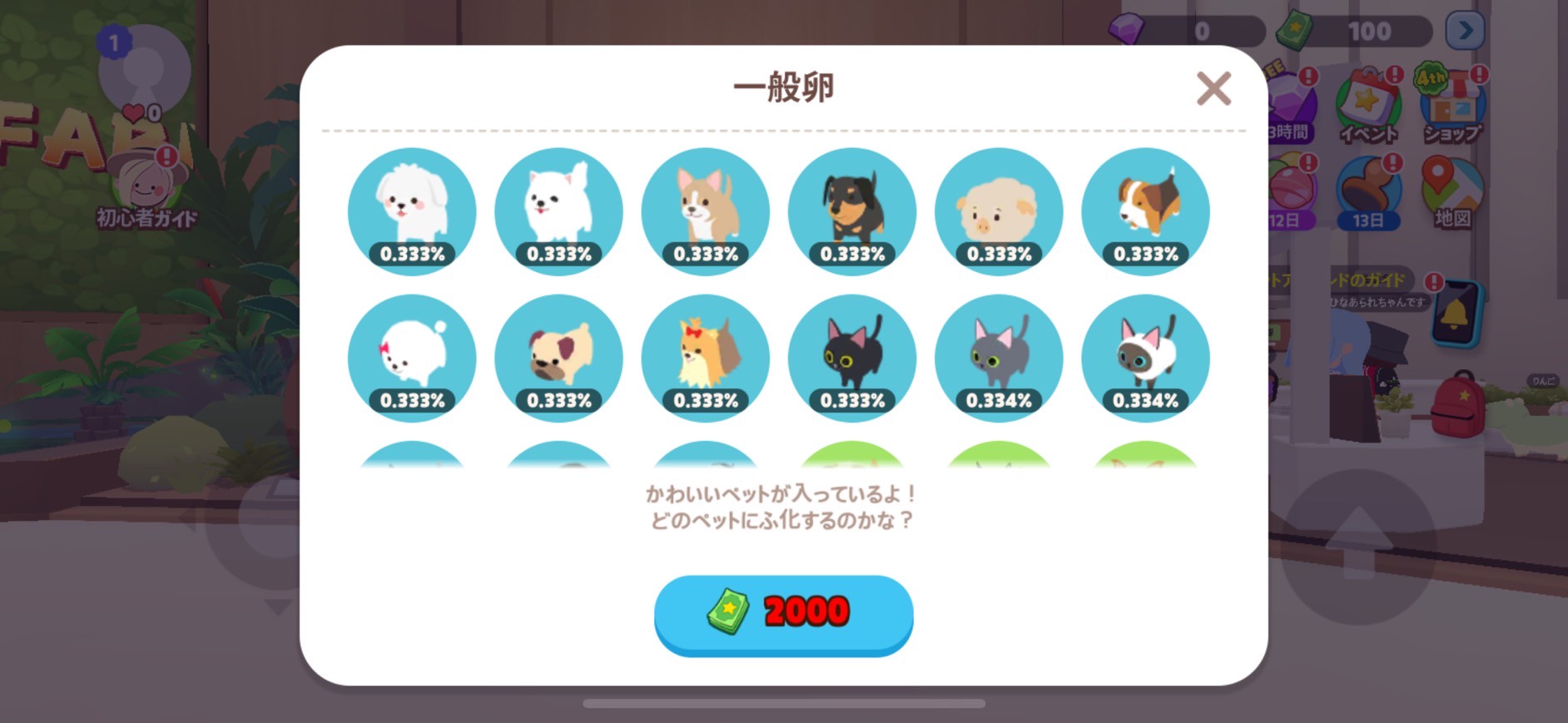一緒に遊ぼう レビュー