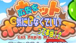 キャットポップマッチ　評価